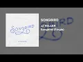 JJ Heller - Songbird: Feat. Taylor Leonhardt (Official Audio Video)