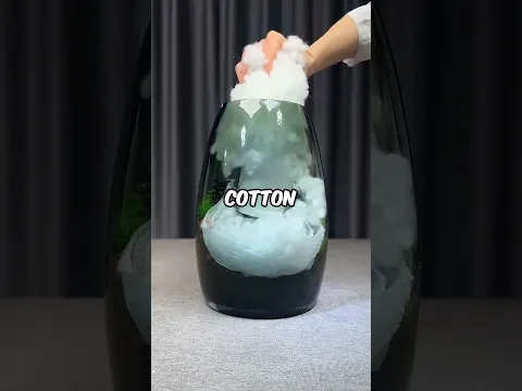 Online Aquarium Delivery Surprise