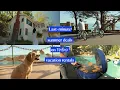 Summer of Vrbo Last Minute Vrbo
