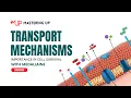 The Importance of Transport Mechanisms in Cell Survival