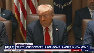 Trump, Musk push ‘DOGE’ cost-cutting with major job cuts