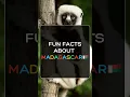 Download Lagu In Madagascar, the trees sing—thanks to the Indri lemur.