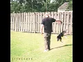 Life/Love - Nolan Taylor