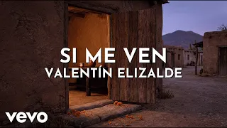 Valentín Elizalde - Si Me Ven (Visualizer)