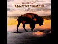 Gospel Plough - Robert Plant