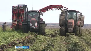 Почти 4 миллиарда рублей было направлено на поддержку аграриев в Омской области в 2023 году