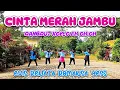 Download Lagu CINTA MERAH JAMBU // DANGDUT KOPLO - EVIS RENATA ROMANSA YESS // SENAM KREASI // SAHARA CHANNEL