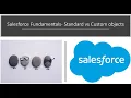 Salesforce Fundamentals Standard vs Custom objects