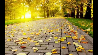 john dreamer rise extended music