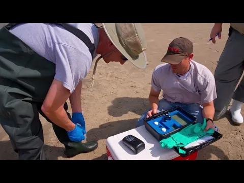 Environmental Data Management Best Practices - An Overview