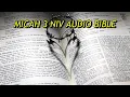 MICAH 3 NIV BIBLE with text