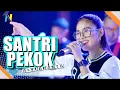 Download Lagu Santri Pekok - Alvi Ananta   