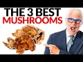 The Best 3 Mushrooms You Need To START EATING Dr Steven Gundry