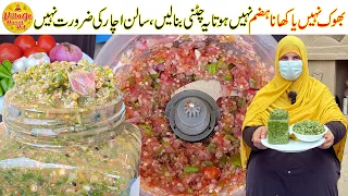Tamatar Payaz Lesun Hari Mirch Ki Chutney Recipe | Village Handi Roti