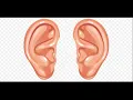 Congratulations Post Malone ft Quavo Ear Rape
