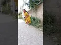 Download Lagu please subscribe me New Funny Ethiopian Tiktok 2025 - New Habesha Tiktok 2025