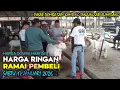 Lagu HARGA DOMBA GARUT HARI INI‼️SABTU 17 JANUARI 2026 PASAR DOMBA TANJUNGSARI SUMEDANG 