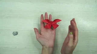 This guide shows you how to fold a very simple 3D butterfly.