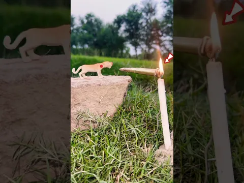 😱 Everyone was left stunned by what happened a few seconds later! #shorts