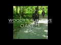 High Hopes by Panic at the Disco Woody s run wave Only Oakley