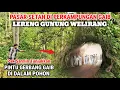 Download Lagu Ngeri !! Lubang Didalam Pohon Besar Ternyata Pintu Gerbang Menuju Perkampungan Gaib \u0026 Pasar Setan