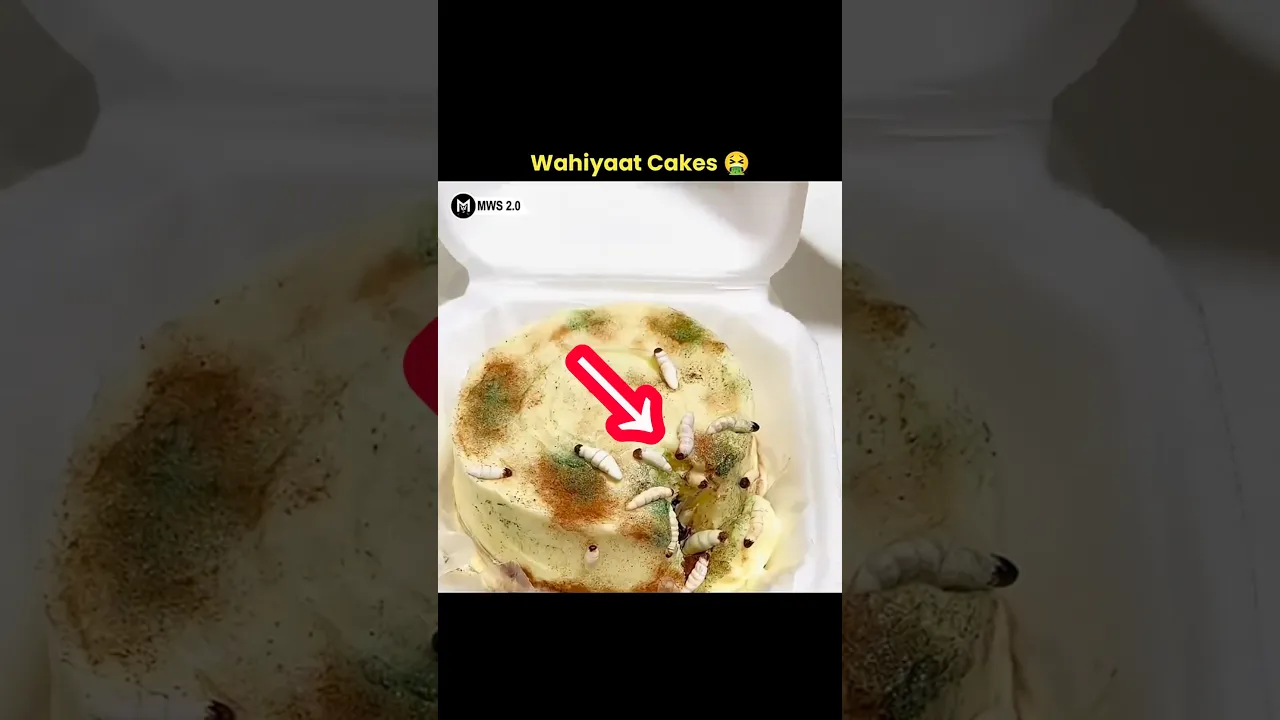 Most Disgusting Cakes 🤮