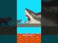 Download Lagu OHIO Meow Meow Cat VS OHIO Baby Shark BOSS