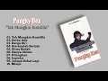 Download Lagu Pungky Dea - Album Tak Mungkin Kumiliki / Full Album