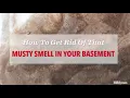How To Get Rid Of That Musty Smell In Your Basement