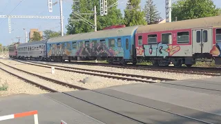                        دندنها