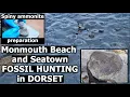 Download Lagu #fossilhunting in #dorset Monmouth to Pinhay Bay and Seatown