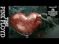 Lagu Pink Floyd - Time (50th Anniversary Competition Winner's Video)