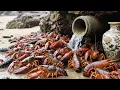 Download Lagu Xiao Zhang Kept Picking Up Sea Cucumbers And Lobsters And Even Found An Antique Vase