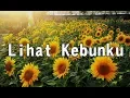 Download Lagu Lagu Lihat Kebunku
