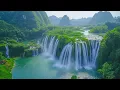 Download Lagu Relaxing Music to Restore the Nervous System 🌿 Healing Music Relieve Stress, Sleep