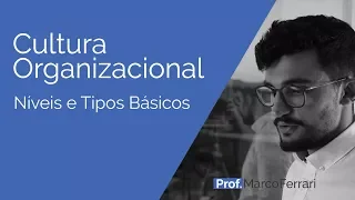 Cultura Organizacional - Níveis e Tipos Básicos