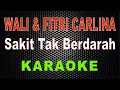 Download Lagu Wali & Fitri Carlina - Sakit Tak Berdarah Karaoke | LMusical