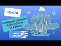 Hydra Configure Complex Applications in Python - Useful Features