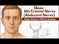 6th Cranial Nerve Abducens Nerve Origin Course Clinical Anatomy Explained with Images