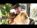 24 things you MUST know before getting a teacup pomeranian