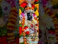 Download Lagu Namo Namo Sri Narayana #perumal #shorts #status #purattasimatham