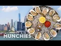 Fighting Climate Change with 1 Billion Oysters