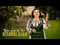 Download Lagu Alexandra Bleaje - Spune puiule de cuc (Videoclip Oficial)