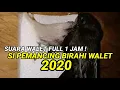 Download Lagu SUARA WALET FULL 1 JAM ( BIRAHI WALET ) #MbirahiBurungWalet