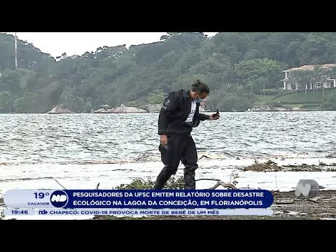 Florianópolis: Pesquisadores da UFSC emitem relatório ecológico sobre desastre na Lagoa da Conceição