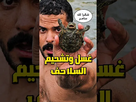غسل السلاحف 🐢😍