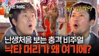 정육점 앞에 떡하니 걸려 있는...낙타 머리?!😱 l #위대한가이드3 l #MBCevery1 l EP.14