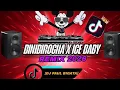 Lagu BINIBIROCHA X ICE ICE BABY REMIX DJ PAUL BIGATA REMIX TIKTOK VIRAL 2026