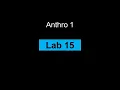 Lab 15