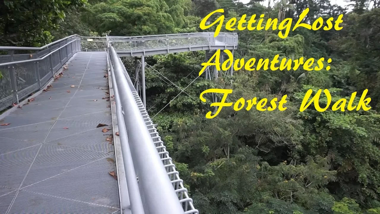 GettingLost Adventures: Forest Walk. Walk through the canopy of the rain forest
